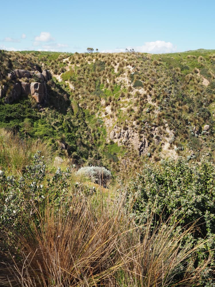 Cape Woolamai Beacon Walk 