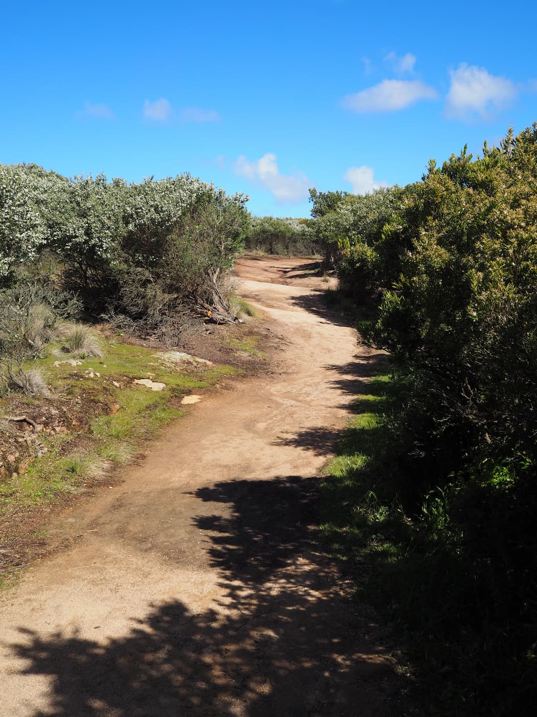 Cape Woolamai Beacon Walk 