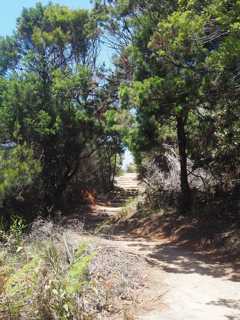 Pinnacles Loop Walk