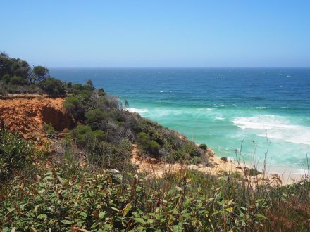 Pinnacles Loop Walk