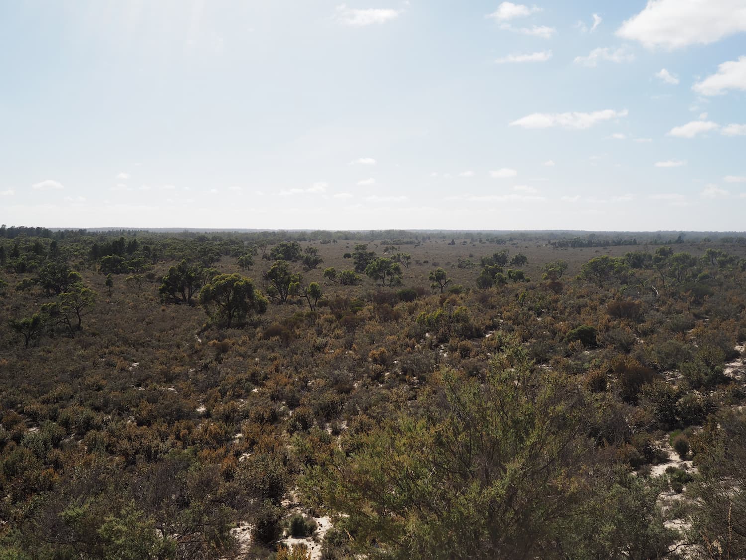 Pomponderoo Hill Nature Walk