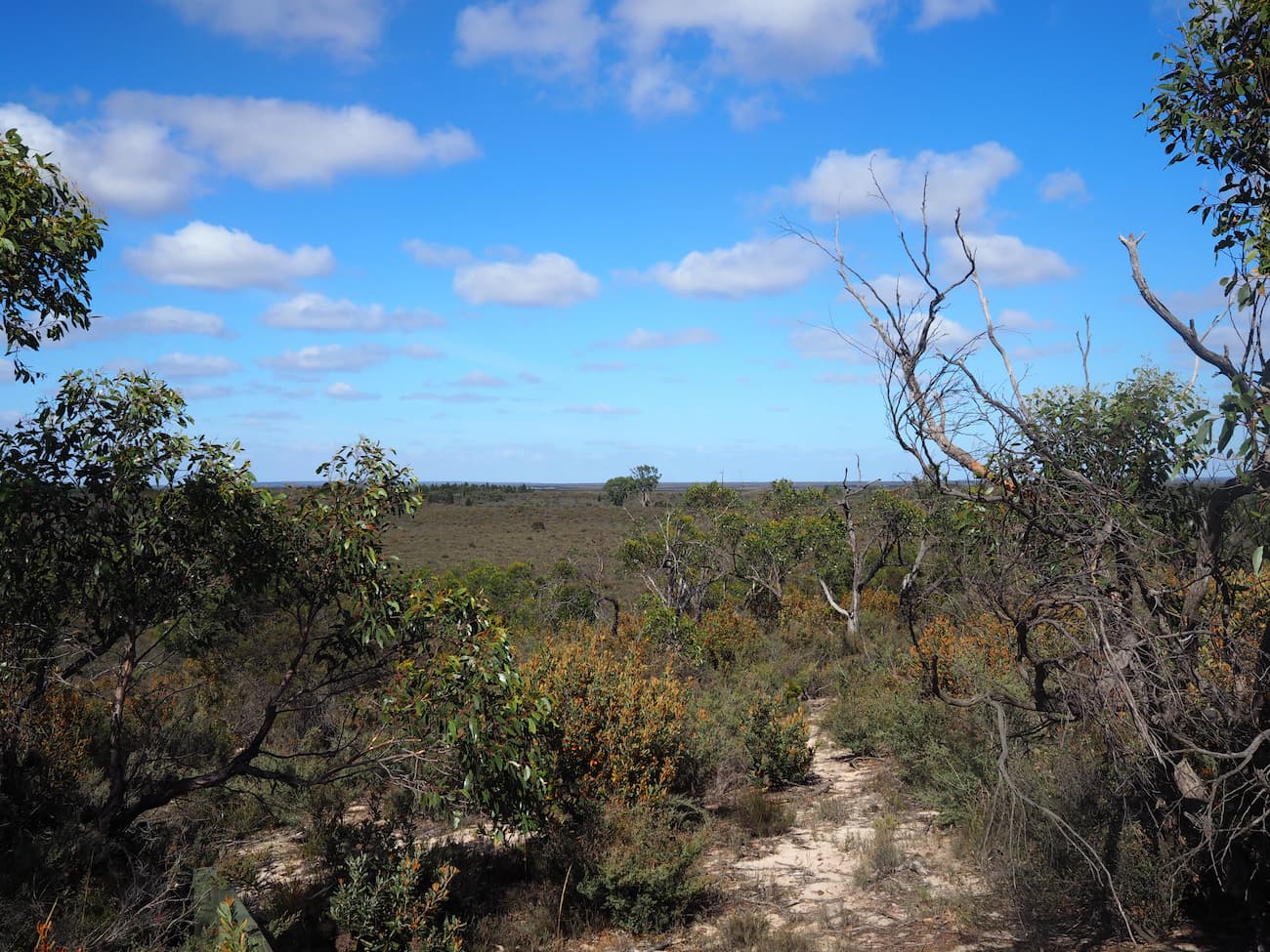 Pomponderoo Hill Nature Walk