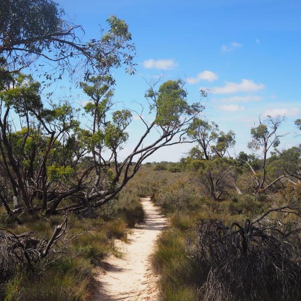 Pomponderoo Hill Nature Walk
