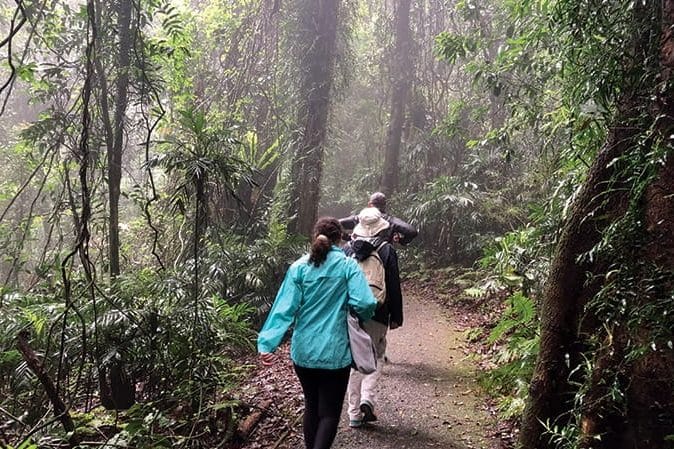 Wonga Walk. Image: NSW National Parks & Wildlife Service