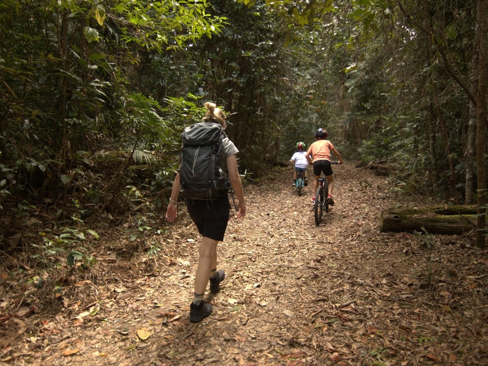 Wangetti Track (Photo: QLD Govt.)