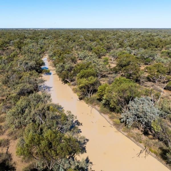 Bush Heritage Australia - Nil Desperandum