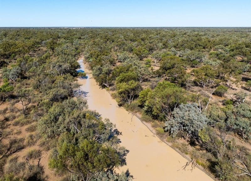 Bush Heritage Australia - Nil Desperandum