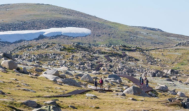 Snowies Alpine Walk (Photo: NPWS)