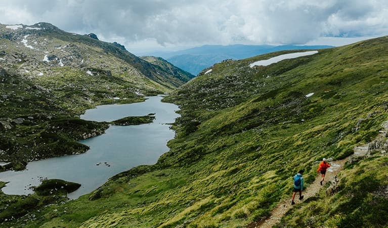 Snowies Alpine Walk (Photo: NPWS)