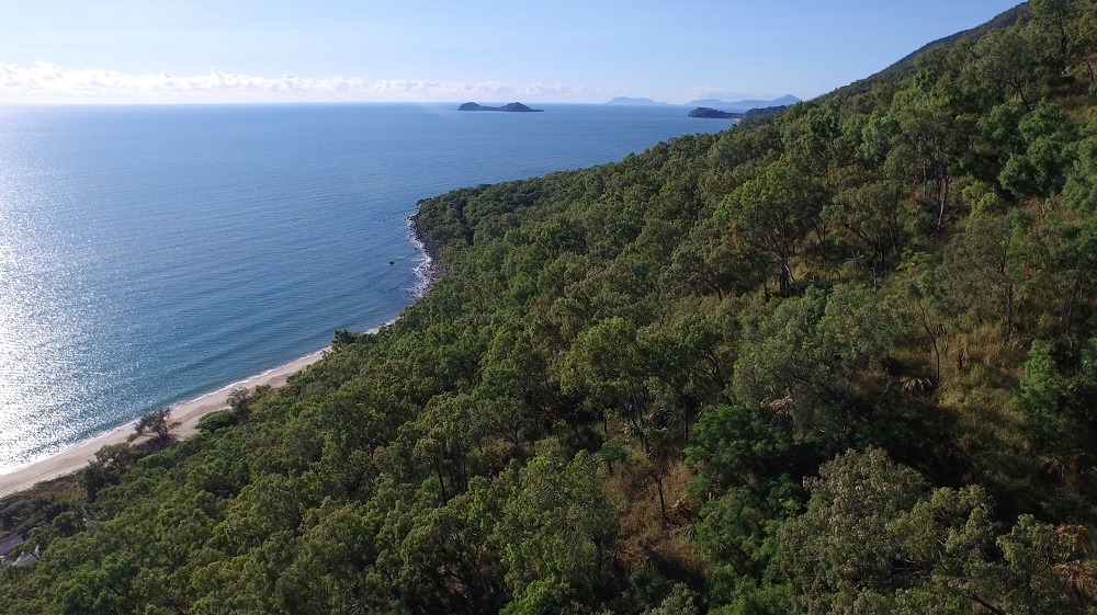 Wangetti Track (Photo: QLD Govt.)