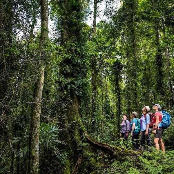 Exploring Lamington National Park with ParkTours. (Photo: Lachlan Gardiner, Jan 2022)