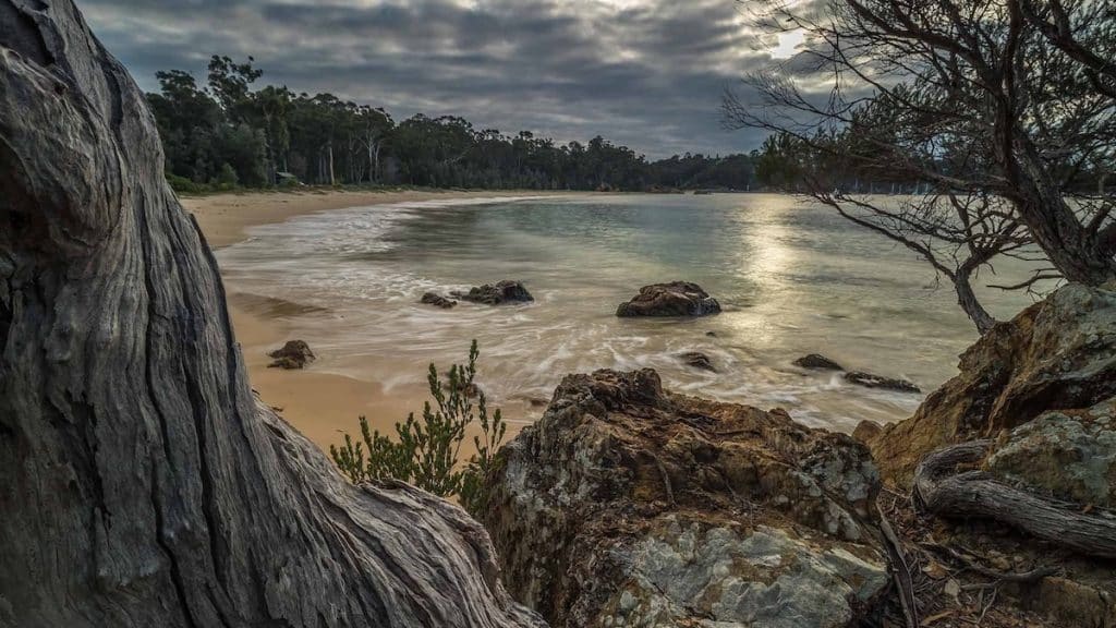 Cocora Beach Eden. David Rogers.