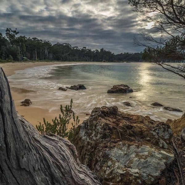 Cocora Beach Eden. David Rogers.