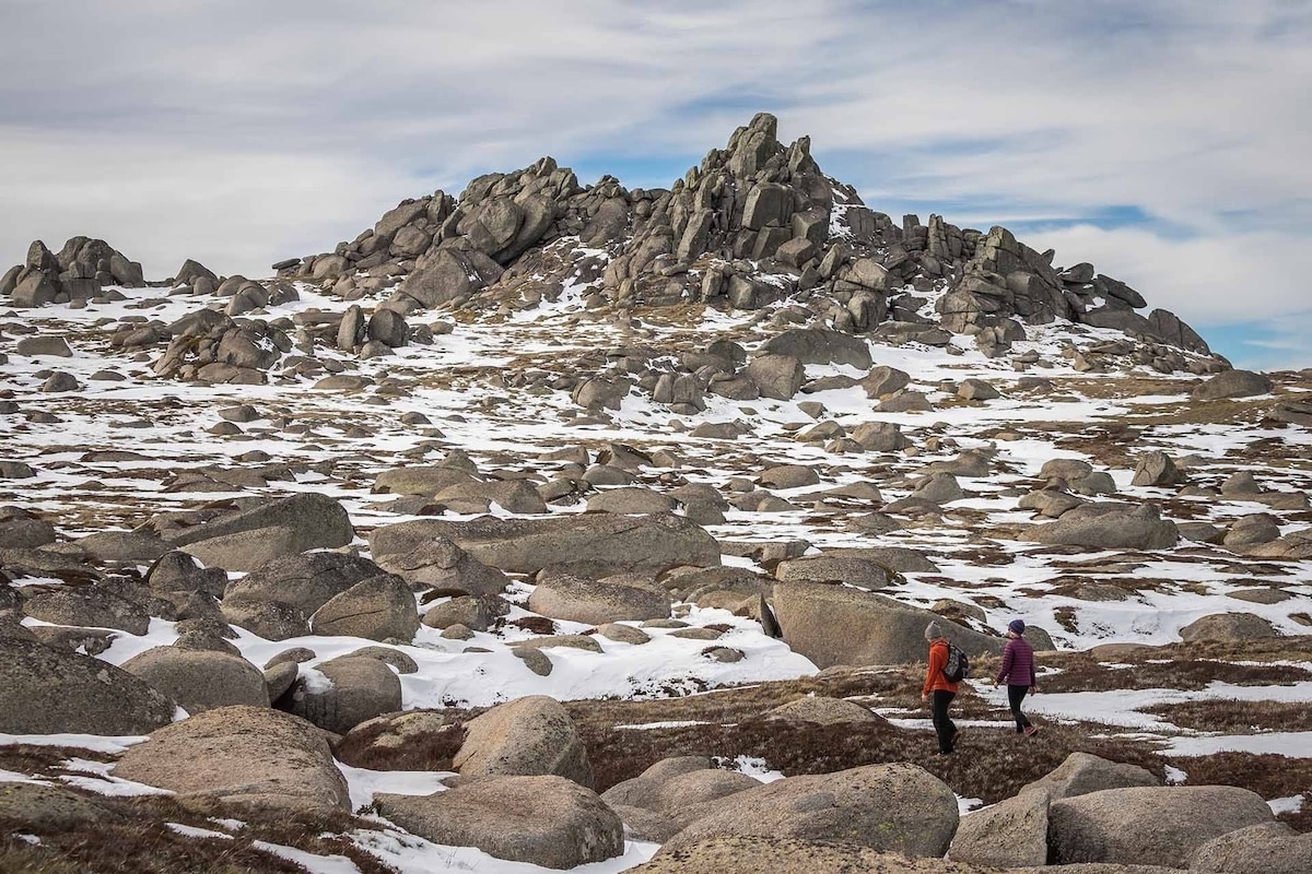 Kosciuszko (Photo: David Rogers)