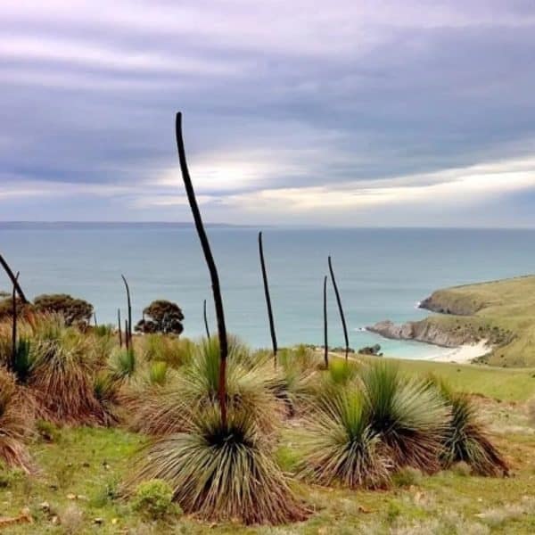 Fleurieu Peninsula