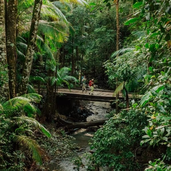 Gidjuum Gulganyi Walk (Photo: NSW National Parks and Wildlife Service)
