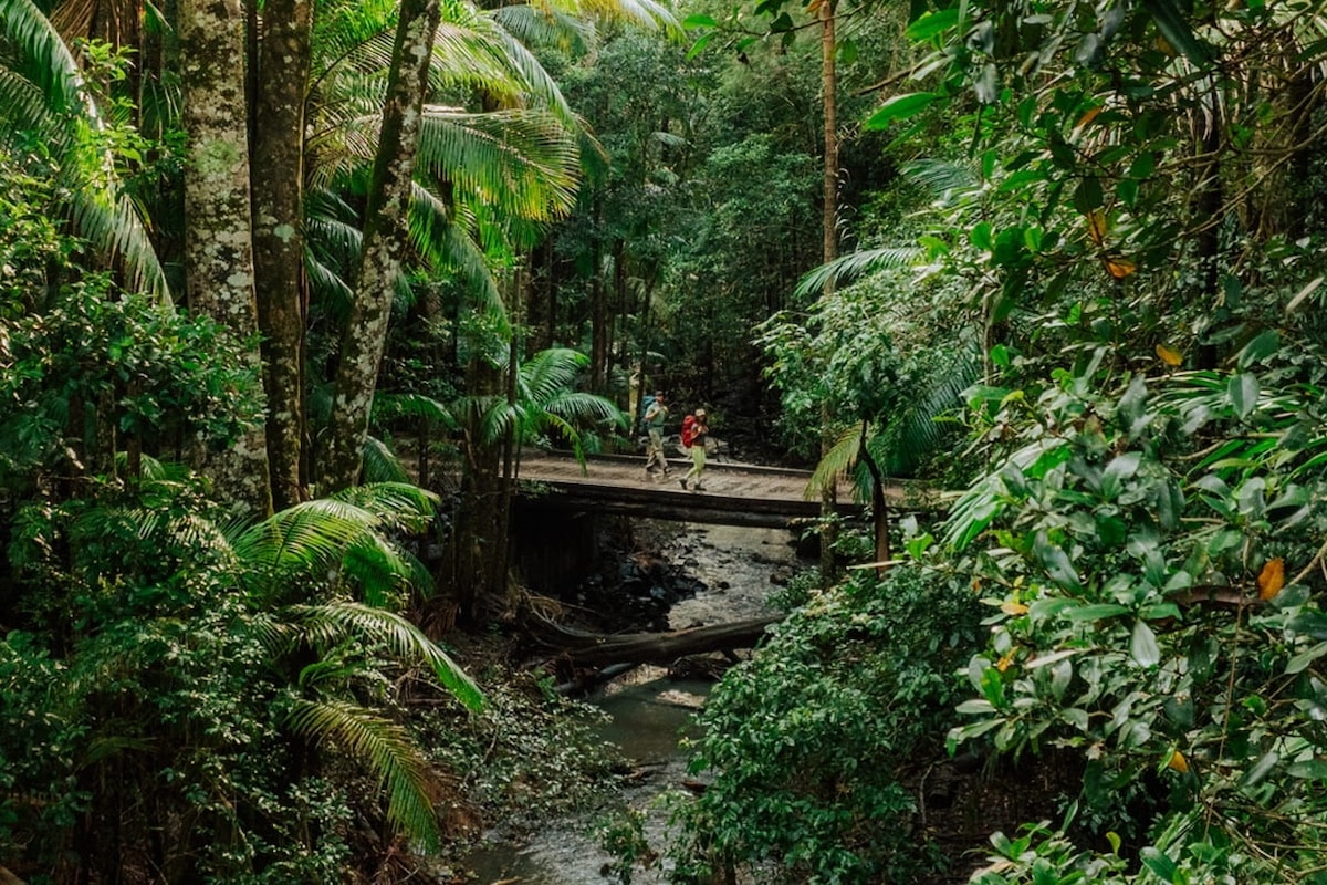 Gidjuum Gulganyi Walk (Photo: NSW National Parks and Wildlife Service)