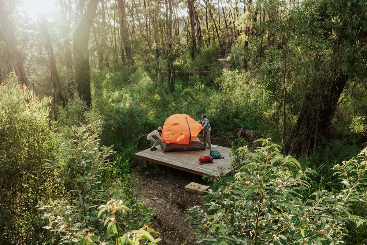 Gidjuum Gulganyi Walk (Photo: NSW National Parks and Wildlife Service)