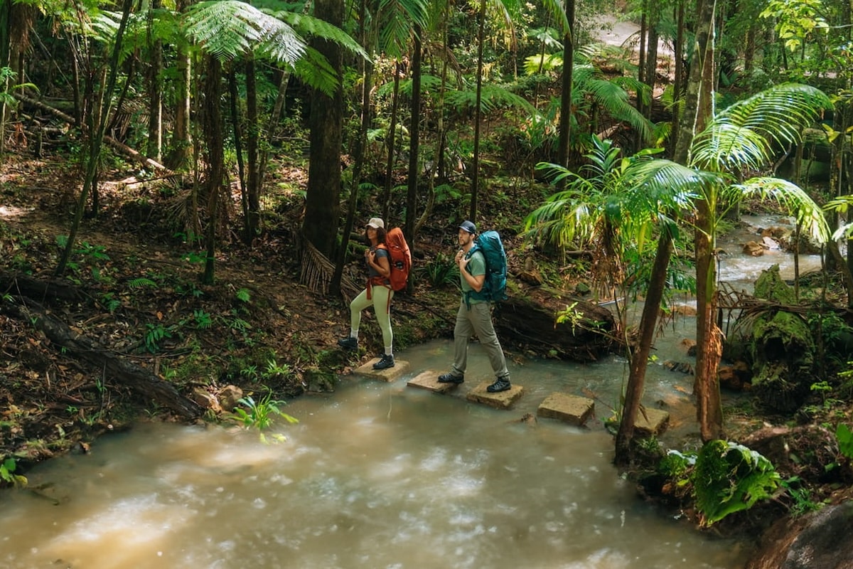 Gidjuum Gulganyi Walk (Photo: NSW National Parks and Wildlife Service)