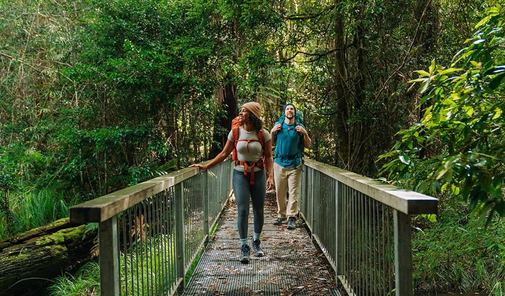Gidjuum Gulganyi Walk (Photo: NSW National Parks and Wildlife Service)