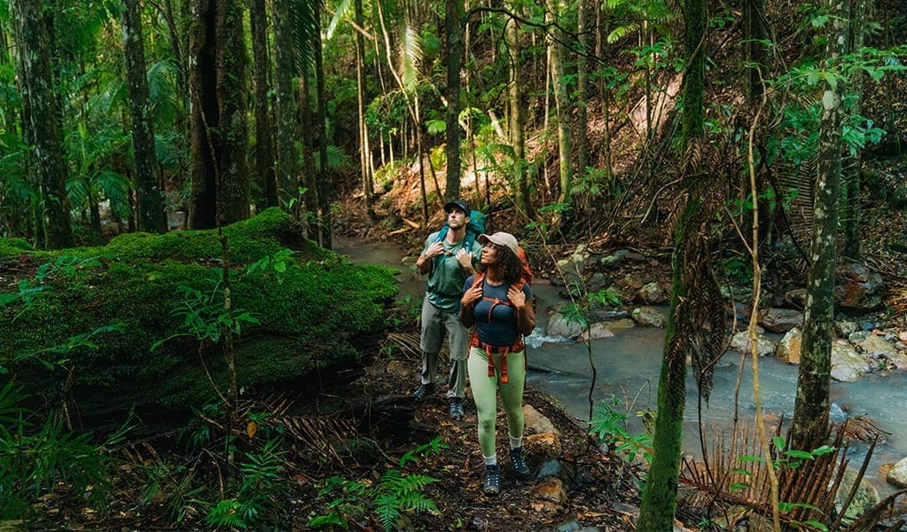 Gidjuum Gulganyi Walk (Photo: NSW National Parks and Wildlife Service)
