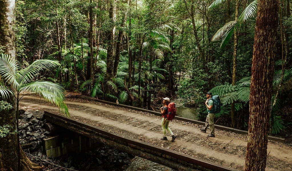 Gidjuum Gulganyi Walk (Photo: NSW National Parks and Wildlife Service)
