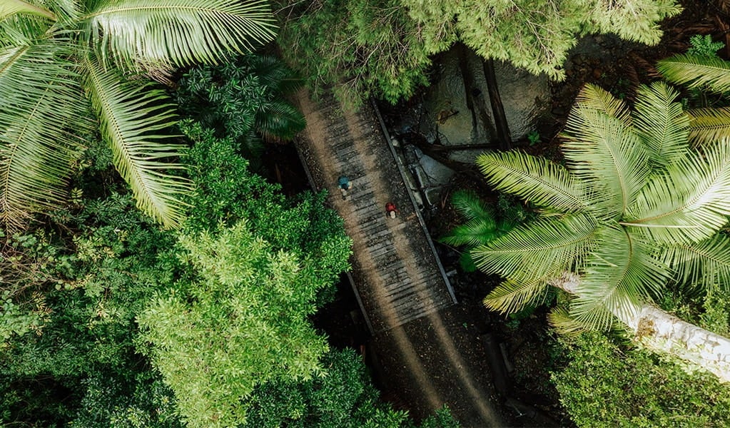 Gidjuum Gulganyi Walk (Photo: NSW National Parks and Wildlife Service)