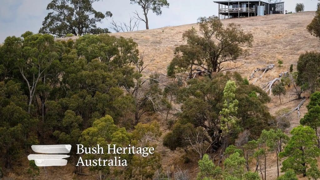 Winter Warmer Bush Heritage