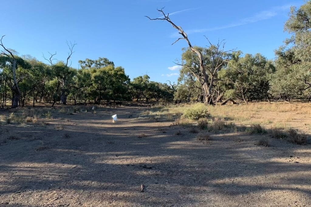 Degraded wetland. Photo: RMIT