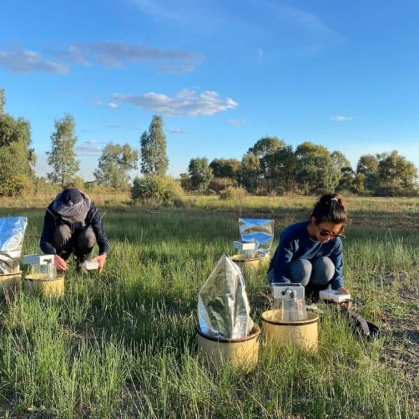 Researchers collecting samples from restored wetland. Credit RMIT