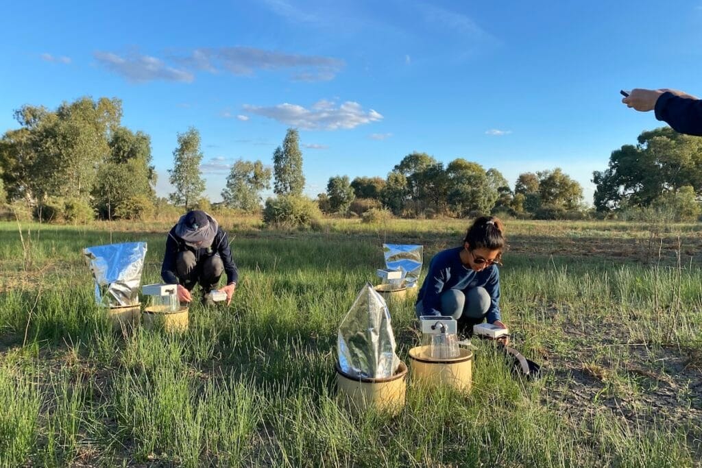 Researchers collecting samples from restored wetland. Credit RMIT