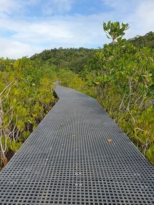 Elevated mangrove boardwalk allows hikers to cross the upper reaches of Hill Inlet.(Photo - Nah Turnbull, Queensland Government)