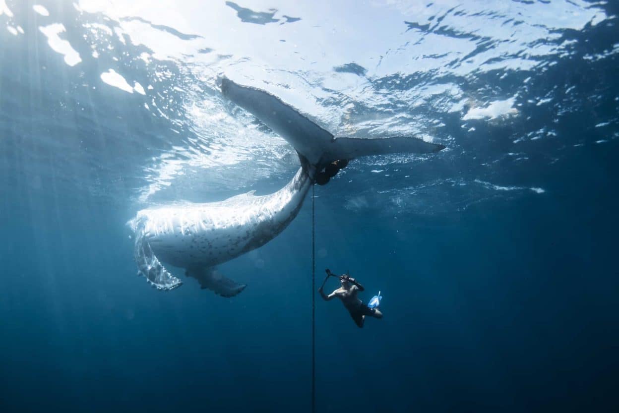 Grand Prize winner, Tauhi by Miesa Grobbelaar, Australia / TNC 2025 Oceania Photo Contest