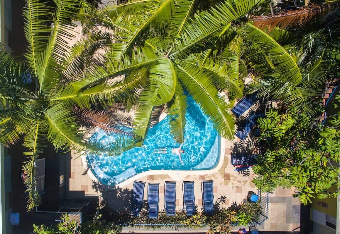 Aerial view of a person swimming in a pool surrounded by palm trees, and lounge chairs at YHA Cairns Central.