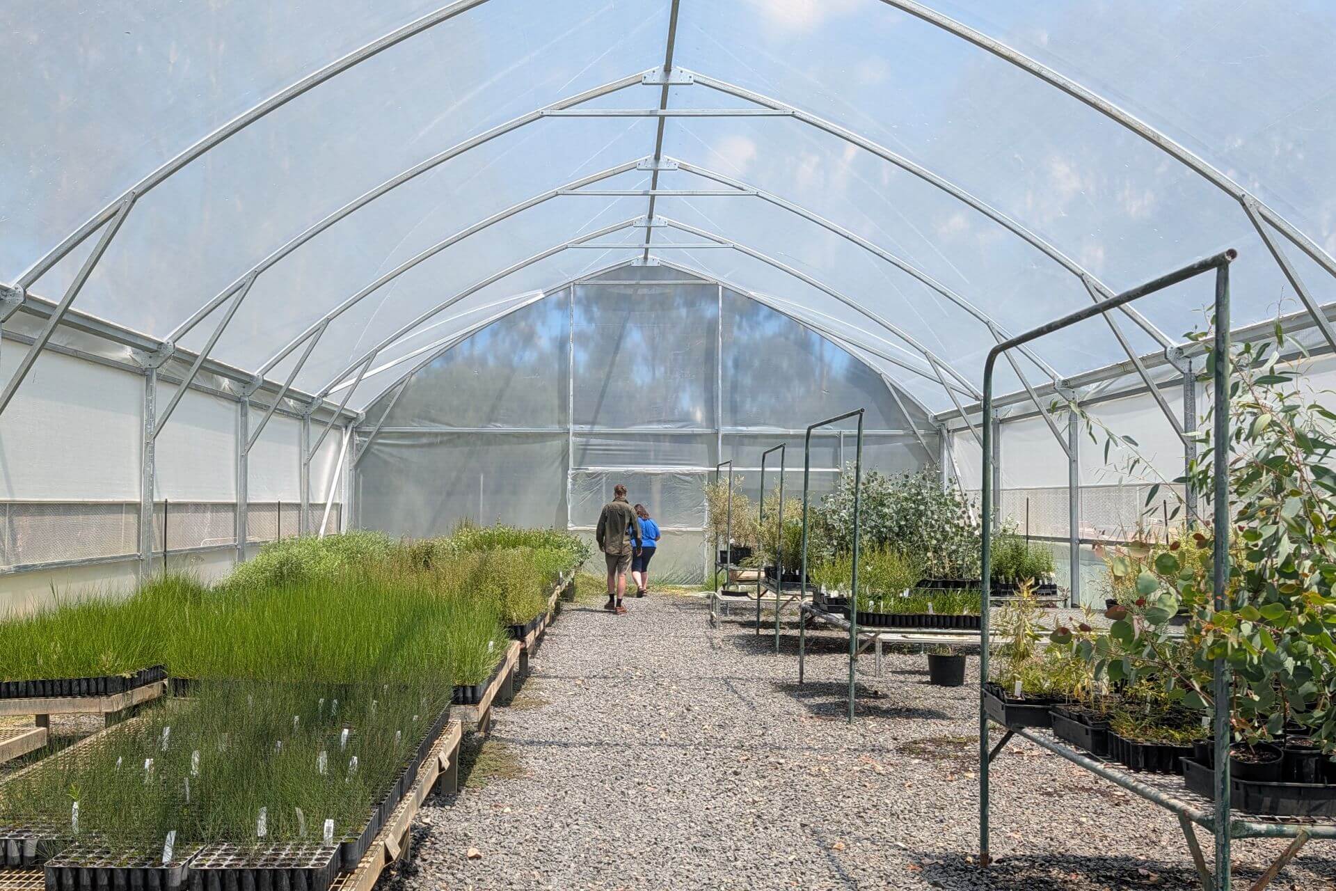 Inside the new greenhouse. Credit SNEL
